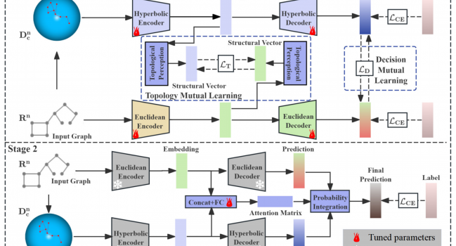 论文《Hyperbolic-Euclidean Deep Mutual Learning》被The Web Conference(WWW) 2025录用