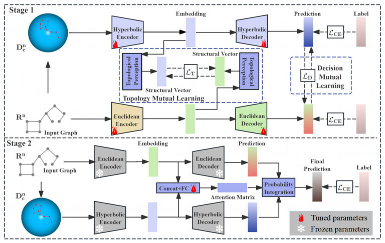 论文《Hyperbolic-Euclidean Deep Mutual Learning》被The Web Conference(WWW) 2025录用