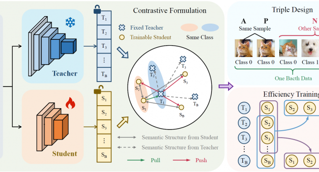 论文《CKD: Contrastive Knowledge Distillation from A Sample-Wise Perspective》被TIP2025录用